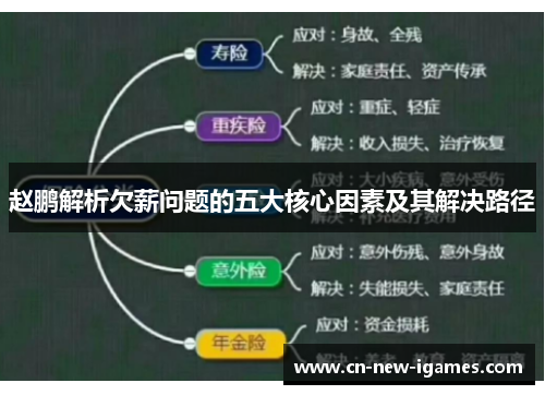 赵鹏解析欠薪问题的五大核心因素及其解决路径